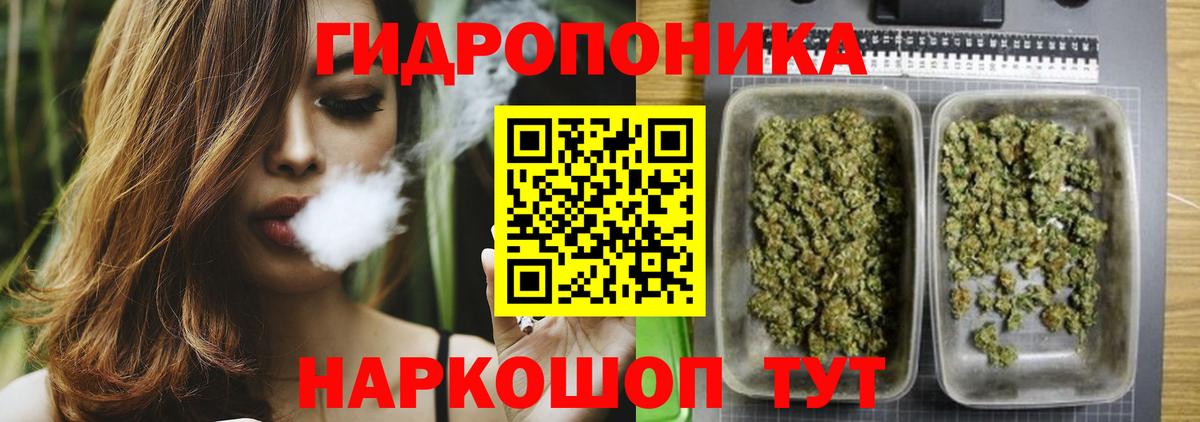 МАРИХУАНА конопля Юрга